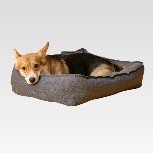 Pet Beds and Furniture